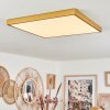 Broglen Plafoniera LED Oro, 1-Luce