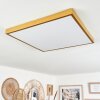 Broglen Plafoniera LED Oro, 1-Luce