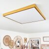 Broglen Plafoniera LED Oro, 1-Luce