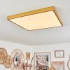 Broglen Plafoniera LED Oro, 1-Luce