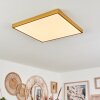 Broglen Plafoniera LED Oro, 1-Luce