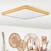 Broglen Plafoniera LED Oro, 1-Luce