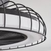 Burmeister ventilatore da soffitto LED Nero, 1-Luce, Telecomando