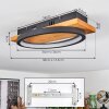 Pompu Plafoniera, 1-Luce