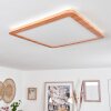 Siguna Plafoniera LED Aspetto del legno, 1-Luce