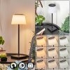 Longchamps Lampada da tavolo LED Nero, 1-Luce