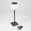 Longchamps Lampada da tavolo LED Nero, 1-Luce