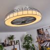 Burmeister ventilatore da soffitto LED Bianco, 1-Luce, Telecomando