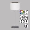 FHL easy Pino Lampade solari LED Nero, 1-Luce, Telecomando, Cambia colore