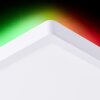 Brilliant Saltery Plafoniera Bianco, 1-Luce, Telecomando, Cambia colore