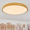 Broglen Plafoniera LED Ottone, 1-Luce
