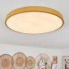 Broglen Plafoniera LED Ottone, 1-Luce