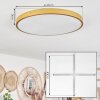 Broglen Plafoniera LED Ottone, 1-Luce