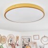 Broglen Plafoniera LED Ottone, 1-Luce