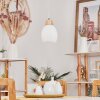 Ombucta Lampadario a sospensione Écru, 1-Luce