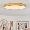 Broglen Plafoniera LED Ottone, 1-Luce