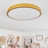 Broglen Plafoniera LED Ottone, 1-Luce