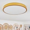 Broglen Plafoniera LED Ottone, 1-Luce