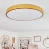 Broglen Plafoniera LED Ottone, 1-Luce