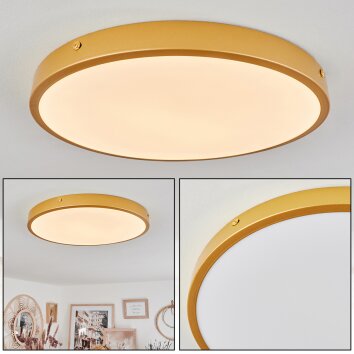 Broglen Plafoniera LED Ottone, 1-Luce