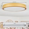 Broglen Plafoniera LED Ottone, 1-Luce