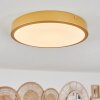 Broglen Plafoniera LED Ottone, 1-Luce