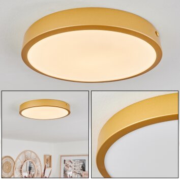 Broglen Plafoniera LED Ottone, 1-Luce