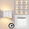 Tamarin Applique da esterno LED Bianco, 2-Luci