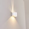 Tamarin Applique da esterno LED Bianco, 2-Luci