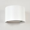 Tamarin Applique da esterno LED Bianco, 2-Luci