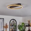 Cajean Plafoniera LED Nero, 1-Luce