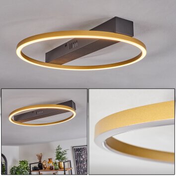 Cajean Plafoniera LED Nero, 1-Luce