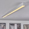 Dubuisson Plafoniera LED Alluminio, 1-Luce, Telecomando