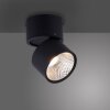 Paul Neuhaus PURE-NOLA Applique LED Nero, 1-Luce