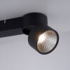 Paul Neuhaus PURE-NOLA Plafoniera LED Nero, 2-Luci