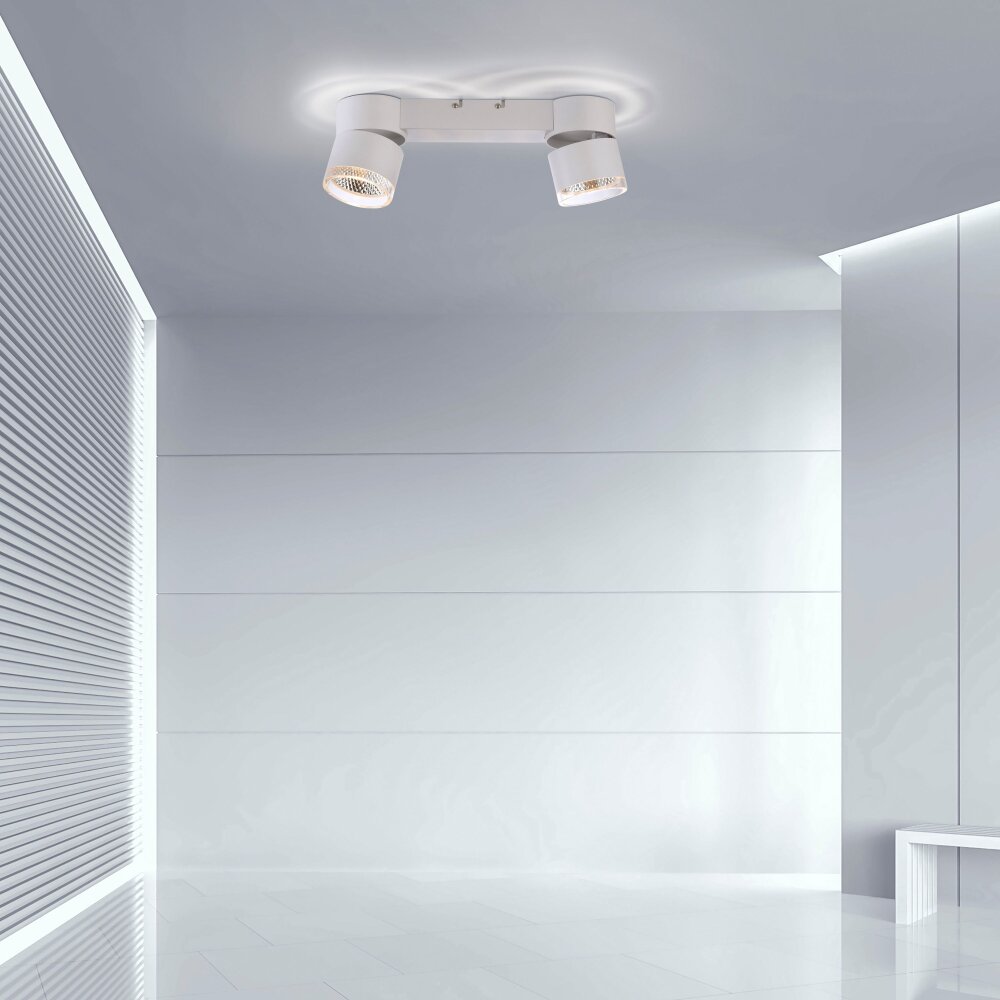 Paul Neuhaus PURE-NOLA Plafoniera LED Bianco, 2-Luci main product photo