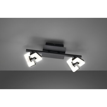 Fischer & Honsel Ray Plafoniera LED Nero, 2-Luci