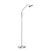 Fischer & Honsel Tallri Lampada da terra LED Nichel opaco, 1-Luce