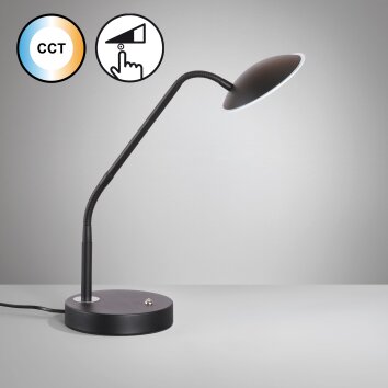 Fischer & Honsel Tallri Lampada da tavolo LED Nero, 1-Luce