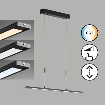 Fischer & Honsel Metz TW Lampada a Sospensione LED Nero, 1-Luce