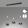 Fischer & Honsel Avignon Lampada a Sospensione LED Nero, 3-Luci