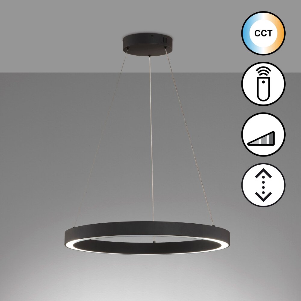 Fischer & Honsel Sirko Lampada a Sospensione LED Nero, 1-Luce, Telecomando main product photo