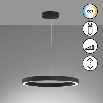 Fischer & Honsel Sirko Lampada a Sospensione LED Nero, 1-Luce, Telecomando