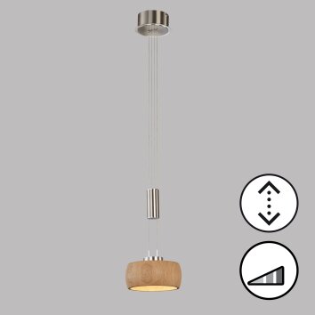 Fischer & Honsel SHINE-WOOD Lampada a Sospensione LED Nichel opaco, 1-Luce