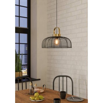 Eglo ROUNDHAM Lampadario a sospensione Ottone, Nero, 1-Luce