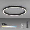 Paul Neuhaus PURE-LINES Plafoniera LED Antracite, 1-Luce, Telecomando