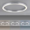 Paul Neuhaus PURE-LINES Plafoniera LED Argento, 1-Luce, Telecomando