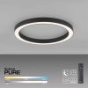 Paul Neuhaus PURE-LINES Plafoniera LED Antracite, 1-Luce, Telecomando