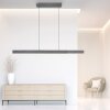 Paul Neuhaus PURE-MOTO-RISE Lampada a Sospensione LED Grigio, 3-Luci, Telecomando