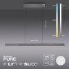 Paul Neuhaus PURE-MOTO-RISE Lampada a Sospensione LED Grigio, 3-Luci, Telecomando